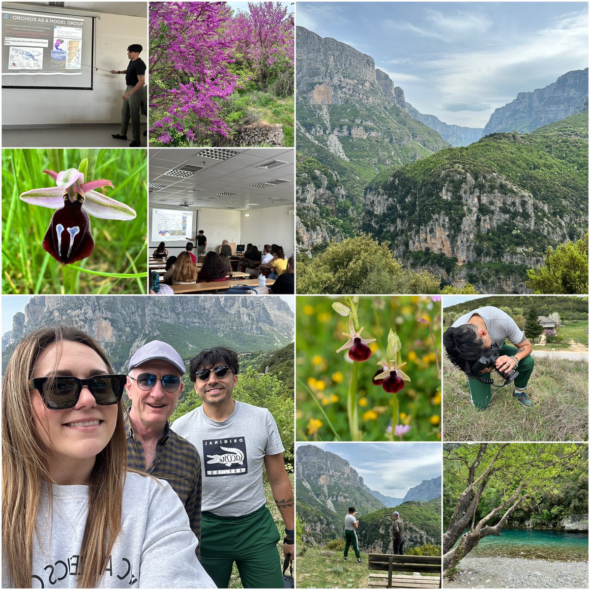 Laboratory of Ecology - EcoLab BET (@ecolab_bet) on Twitter photo It was such a pleasure hosting our colleague & friend <a href="/LatinOrchidBot/">Oscar Alejandro Pérez-Escobar</a> in <a href="/EcoLab_BET/">Laboratory of Ecology - EcoLab BET</a> !Last week was full of science (incl. Oscar’s great talk in <a href="/bat_uoi/">Τμήμα Β.E.T.</a> seminar), beautiful landscapes 🏔️around #Epirus 🇬🇷, lots of #orchids (duh!), and ofc, food 🥗! Hasta la próxima, Oscar 🤗🌷 It was such a pleasure hosting our colleague & friend <a href="/LatinOrchidBot/">Oscar Alejandro Pérez-Escobar</a> in <a href="/EcoLab_BET/">Laboratory of Ecology - EcoLab BET</a> !Last week was full of science (incl. Oscar’s great talk in <a href="/bat_uoi/">Τμήμα Β.E.T.</a> seminar), beautiful landscapes 🏔️around #Epirus 🇬🇷, lots of #orchids (duh!), and ofc, food 🥗! Hasta la próxima, Oscar 🤗🌷