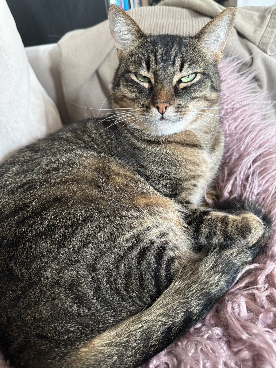 Mischka has never done monte carlo integration, knows peace