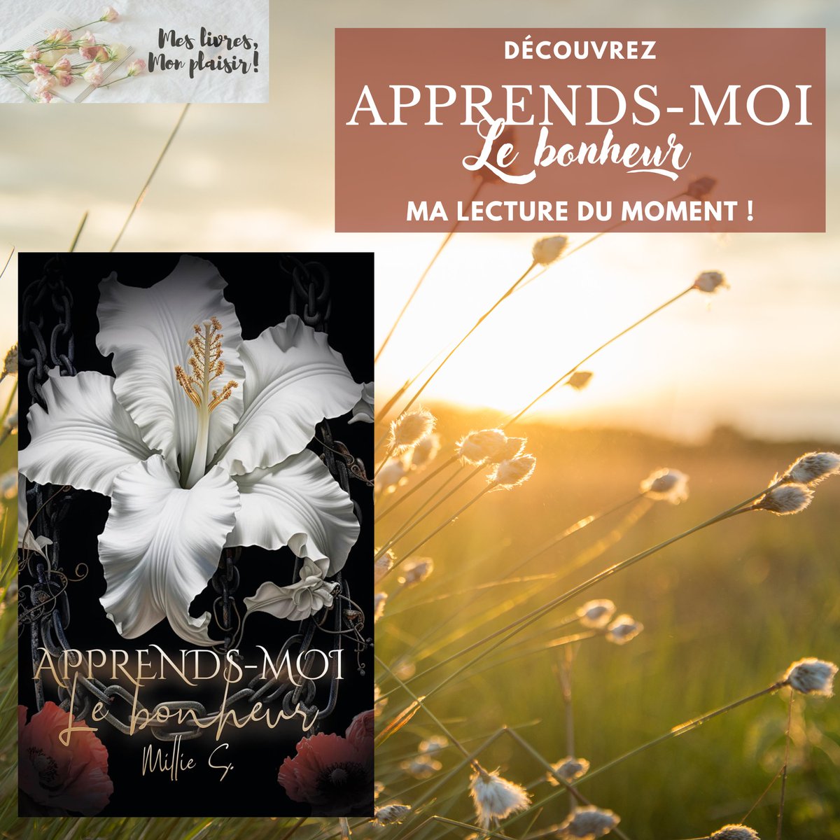 Mes livres, mon plaisir ! tweet media