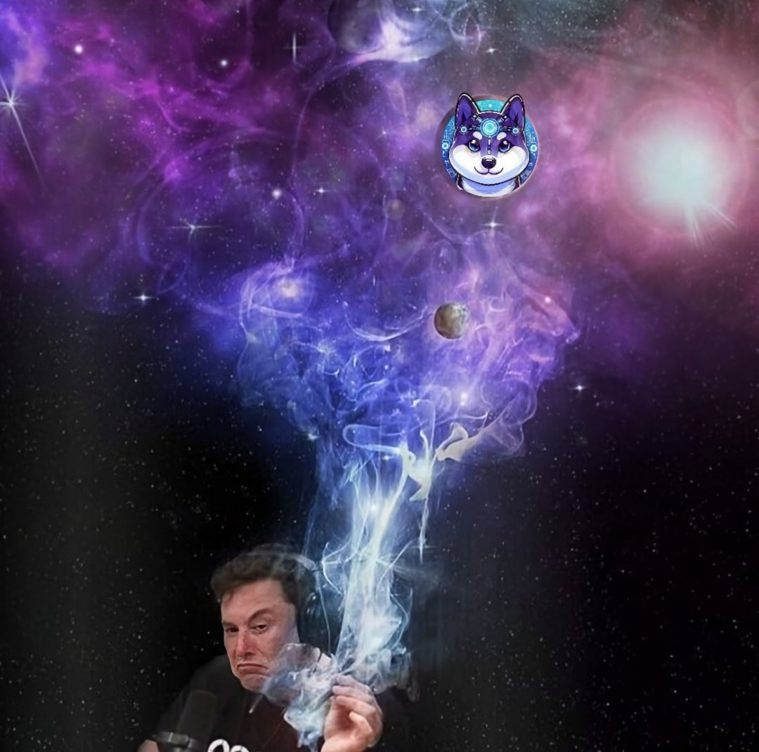 'What makes me higher than every strain its $AnyInu on any chain 💜🔥' - @elonmusk Happy 4/20! 🥳