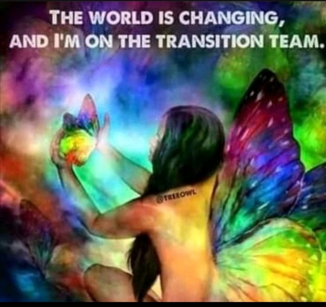 Good rising lightworkers. We are living in exciting times, as the matrix collapses. How this timeframe plays out, is up to you. As a member of the Transition team, your interaction within these energies, will determine the ease of flow in between to a Golden Age. Namaste 💫💙