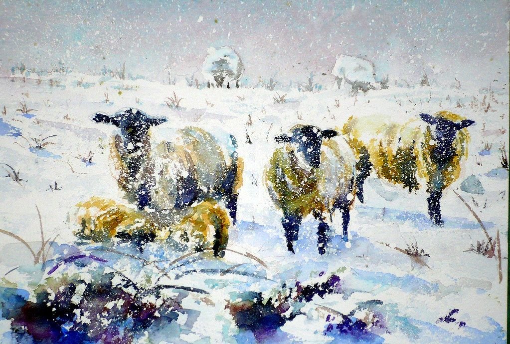 Good morning. Sheep in the snow. Sheep in a snowstorm by William Bovington