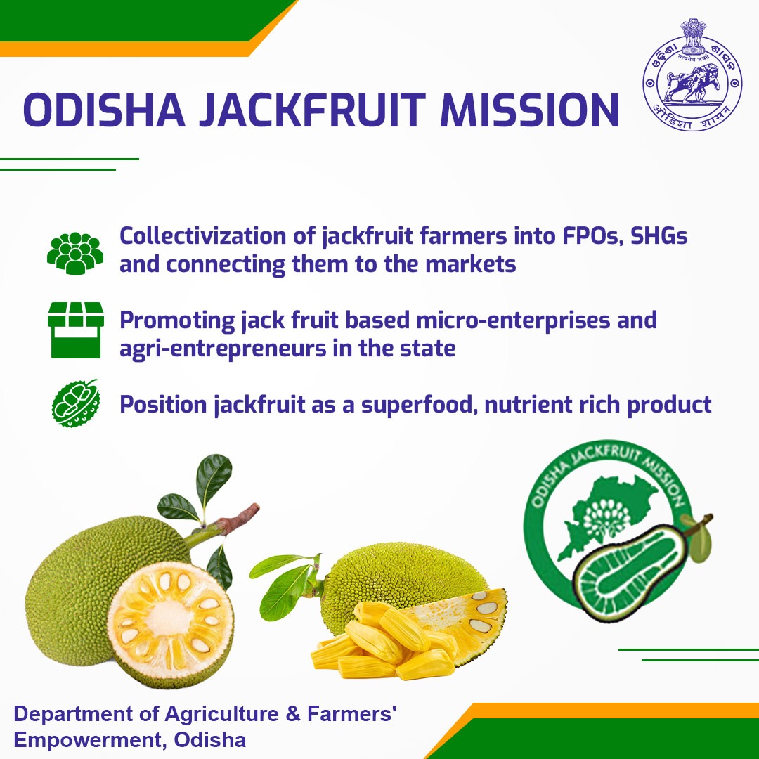 Jackfruit is a healthful source of vitamin C, potassium, dietary fibre, and some other essential vitamins and minerals. The agro-climatic conditions of Odisha are suitable for its production.