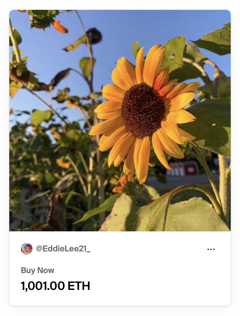 EddieLee21_'s tweet photo. If you never ask for 1,001 ETH,
You will never get #1001ETH ๐ฌ
If you never feel inspired,
You will never inspire others ๐ซถ
If you never ask the question,
The answer is always no๐ซ
If you never change the narrative,
You will never change the world ๐
Be the change ๐ https://t.co/t335RdoTlG