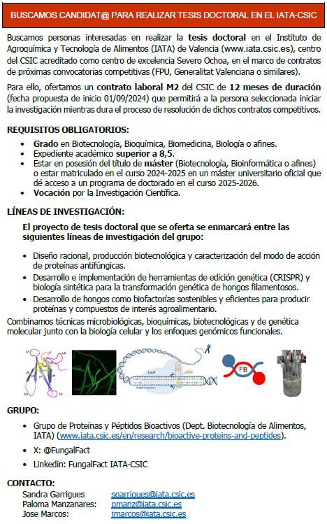 mart1nezdelp0z0's tweet photo. Gran oferta para hacer la tesis. Científicos excelentes y personas aún mejores... https://t.co/acR0mQR9In