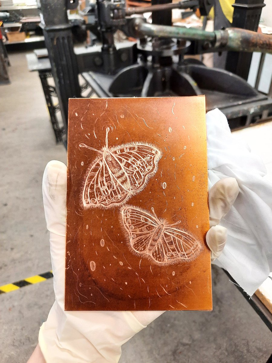 Started a new little copper plate etching! Nice to be back in the print room this week ✏️🦋
#printmaking #popmembers