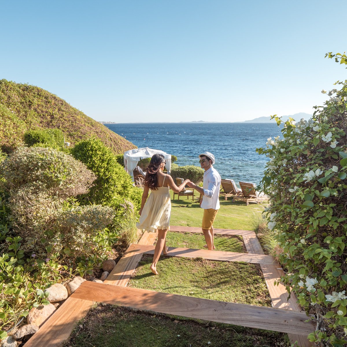 FSSharmElSheikh's tweet image. Get lost in love as you stroll through one of many hidden gardens overlooking the #RedSea at @fssharmelsheikh.​

#DreamWithFS #FSSharmElSheikh #FourSeasons