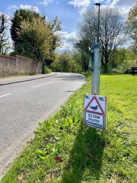 New signs have gone up warning motorists to slow down around our ponds following the recent spate of ducks and geese killed by speeding vehicles on Ashfield Lane and Heathfield Lane. 📷 & words by Steve Grimes @visitchis
