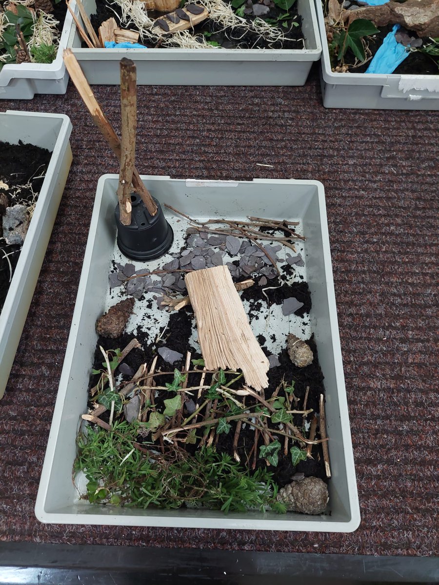 Miniature gardens in Outdoor Learning