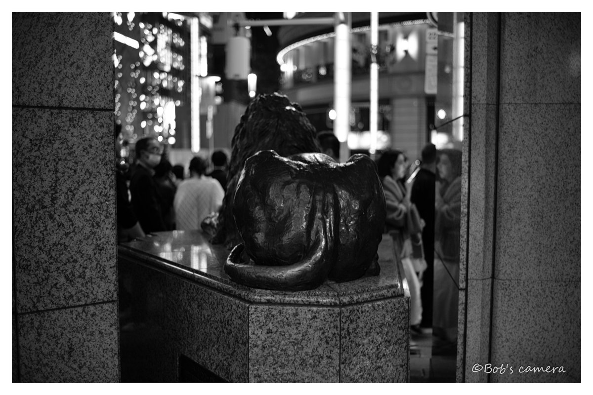 [おしり] Leica M10-P　　NOKTON classic 35mm F1.4 II SC VM akirasofti.exblog.jp/33766134/