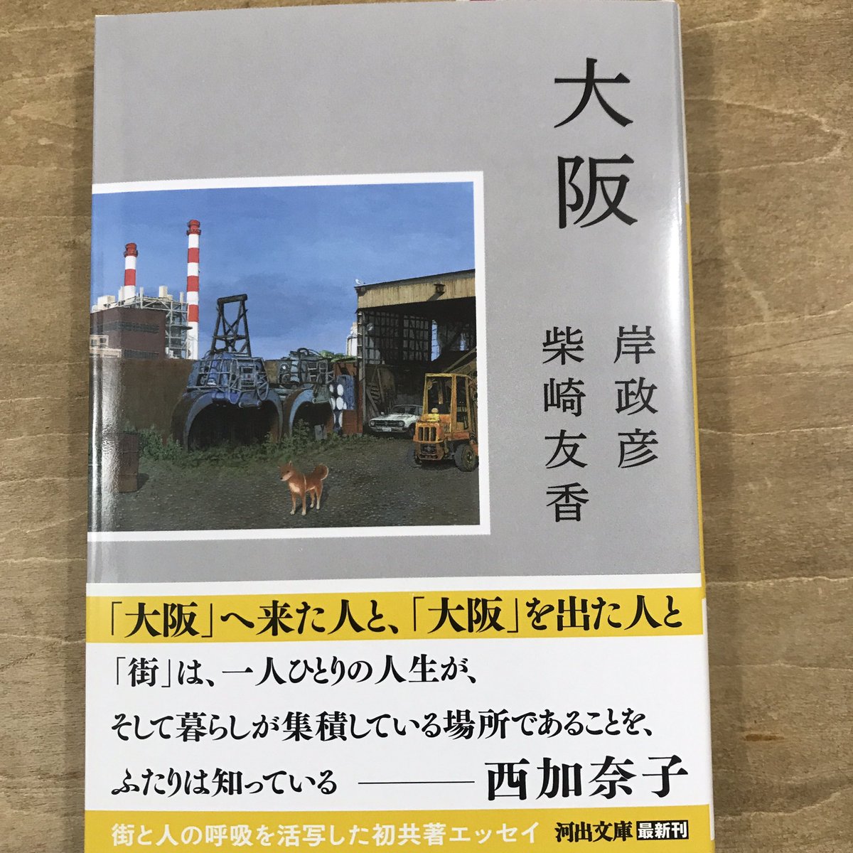 mukadeyabooks's tweet photo. 「大阪」へ来た岸政彦さんと、「大阪」を出た柴崎友香さんの初共著エッセイが文庫化。90年代から2010年代の「大阪」の時代と呼吸を活写する。

『大阪』 https://t.co/whJqhrxcWH