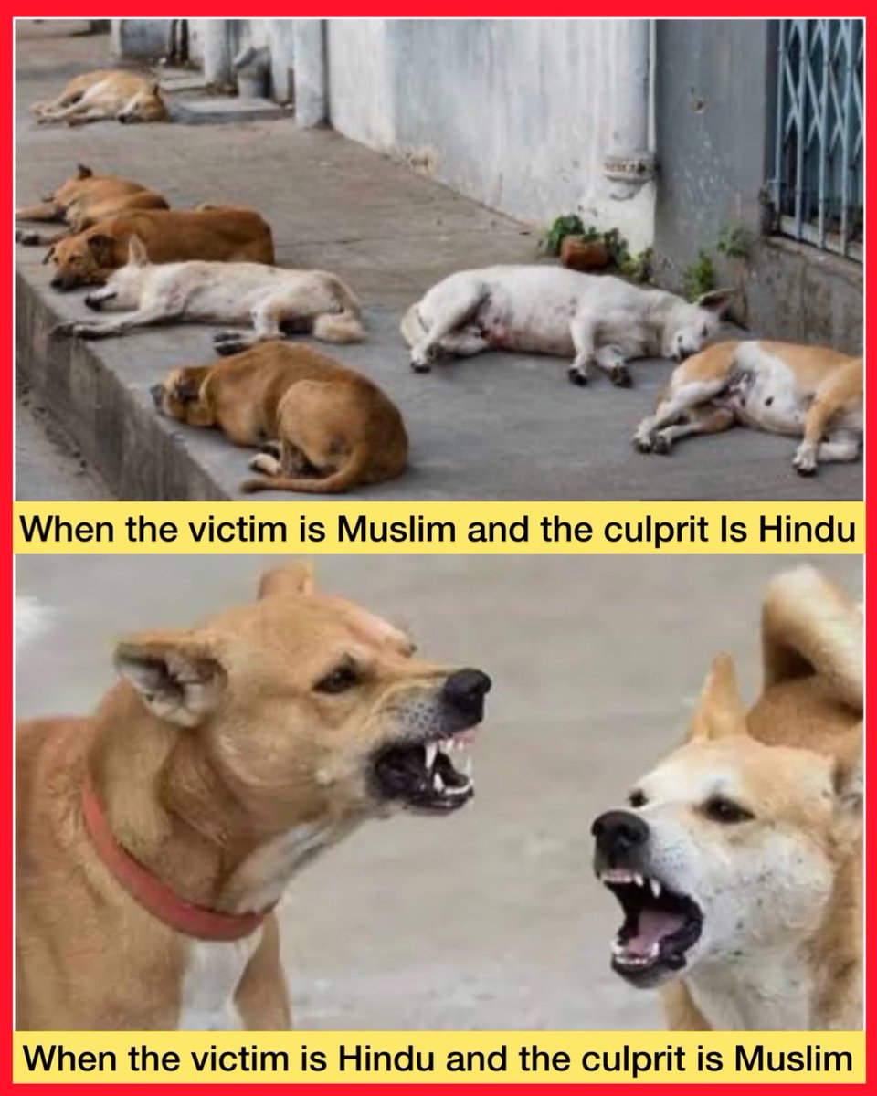 Reaction of Godi media and Right wing thugs