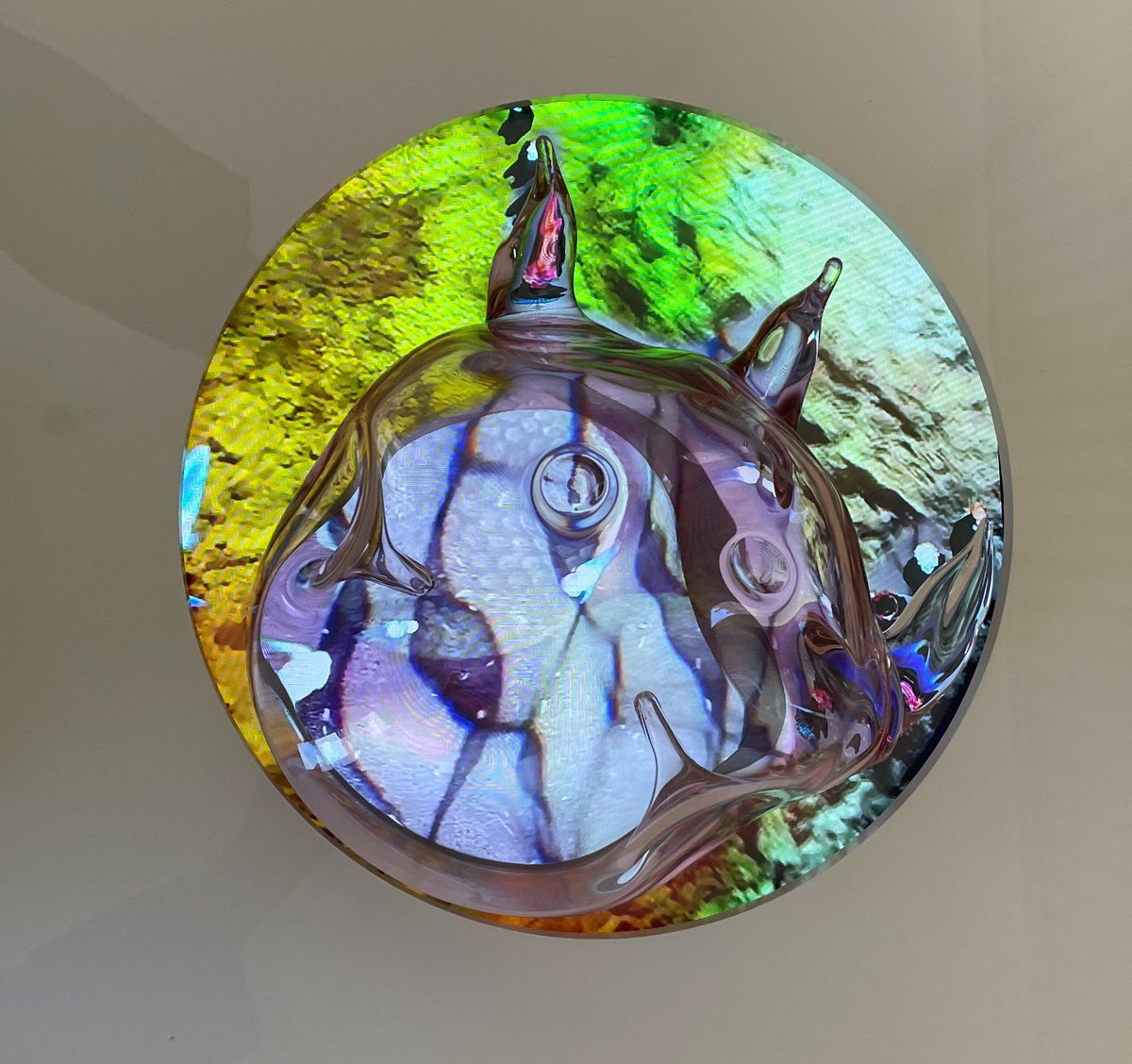 quoartis's tweet image. Dive into a vital, yet often unseen, marine universe.

 “The Hidden Nomad that Nourishes Us” by #KatjaLoher is featured in our on-site exhibition “A Sea on Edge” at @santpaubcn until April 30th.  

#ASeaChange
@kontejnerorg 
@MOMusMuseums 
@NeMeOrg 
@europe_creative