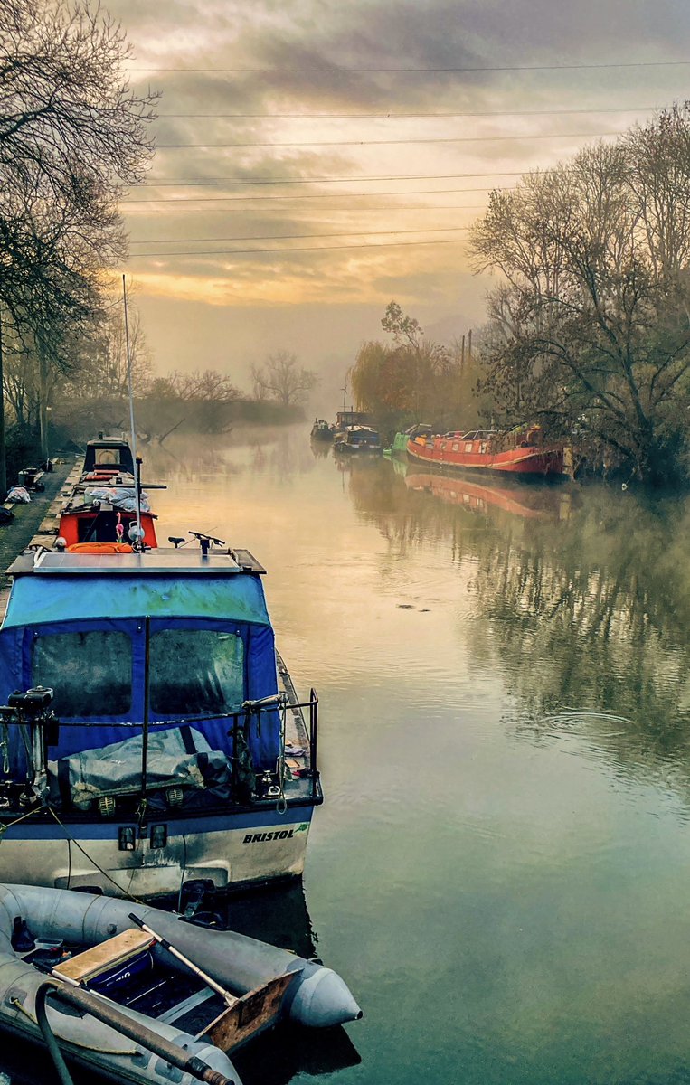 RedistributedFu's tweet image. 