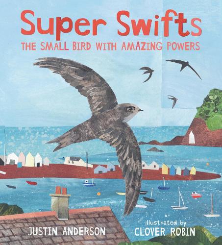 BooksUpNorth's tweet photo. A review of #SuperSwifts by Laurence (6 years) who was amazed swifts can fly for 4 years without landing!🪺https://t.co/2jI851frXE "We love the full page illustrations in this book"
@JustinFAnderson @cloverrobin @BIGPictureBooks #swifts #birds #migration #booksfortopics https://t.co/yUb2n1nXg2