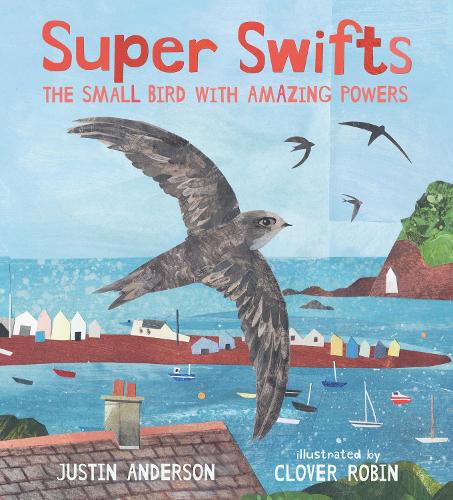 A review of #SuperSwifts by Laurence (6 years) who was amazed swifts can fly for 4 years without landing!🪺booksupnorth.com/kids-book-revi… 'We love the full page illustrations in this book' @JustinFAnderson @cloverrobin @BIGPictureBooks #swifts #birds #migration #booksfortopics