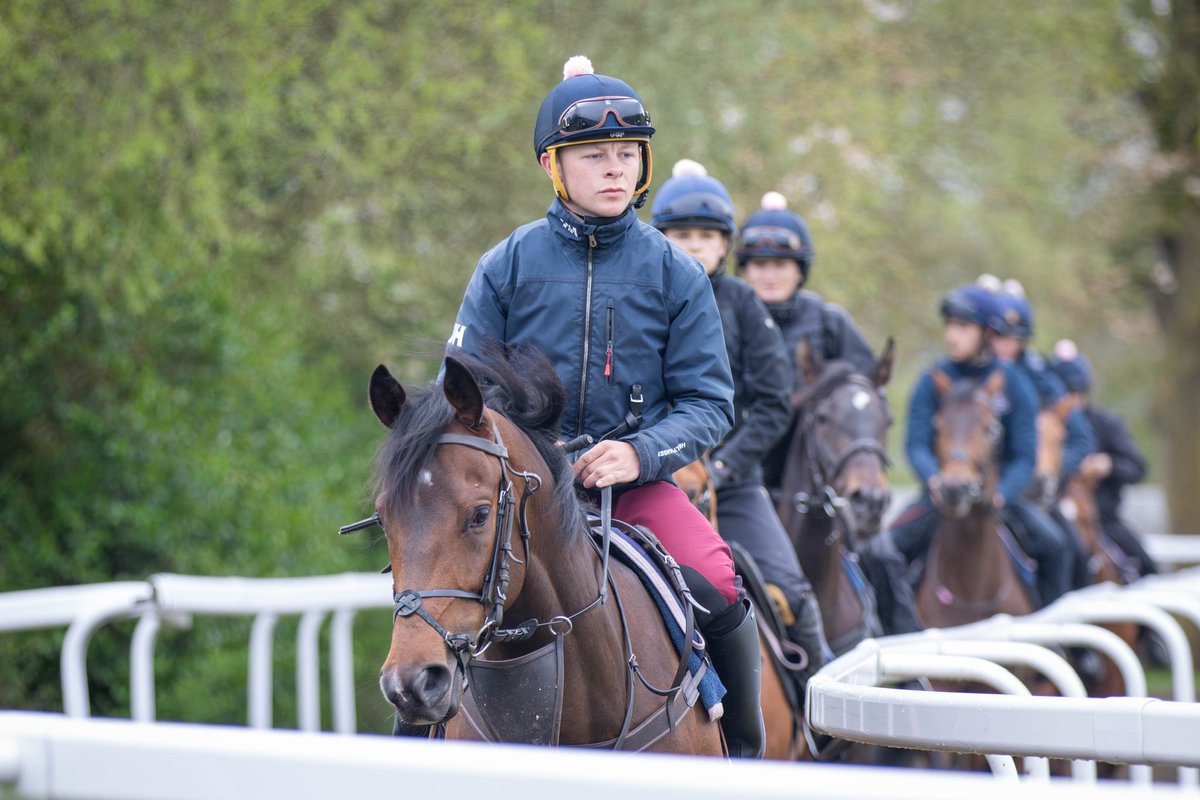 Terwada runs this afternoon at Newbury in the Spring Cup Handicap at 3:15pm under jockey Kieran Shoemark  🤞🏻🏇 #EdWalkerRacing