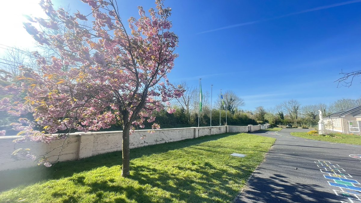 clontuskertns's tweet image. ☀️ Beautiful day for a #SpringClean here @clontuskertns 

🌺 Ready for action 

#ClimateActionEdu
#Coding4Climate