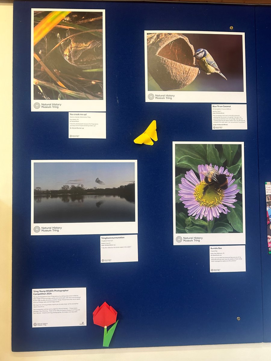 Today is the last day to see the fabulous #TringYoungWildlifePhotographerCompetition display at Tring Library!

Be inspired to take a closer look at the wonderful nature around us 🔎🍃

Tring Library is open today until 4pm.
@HertsLibraries