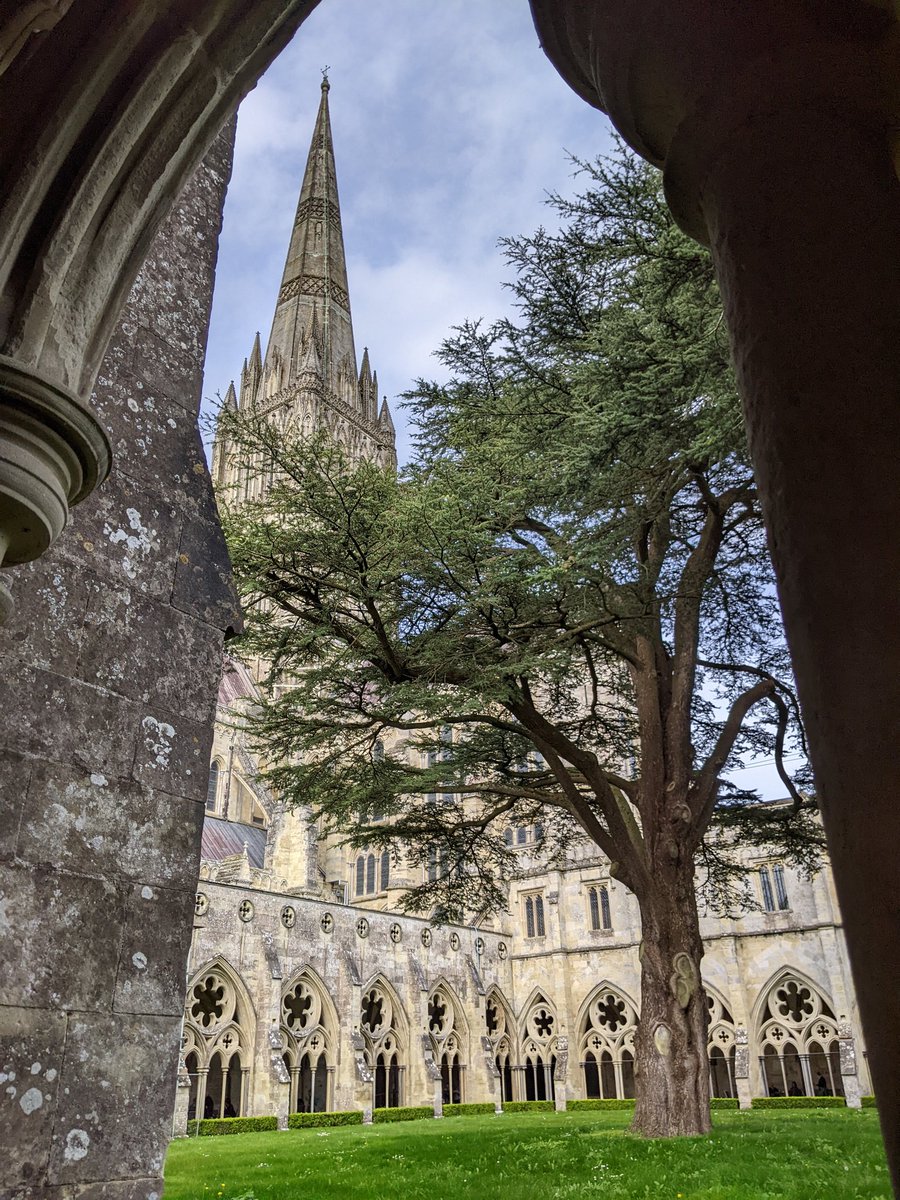 Salisbury cathedral - a view from the cloisters 
#SteepleSaturday