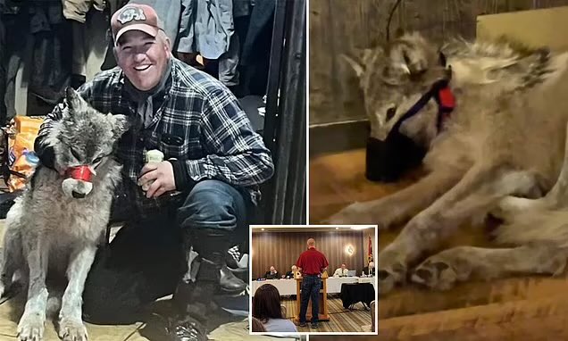 Upset animal lovers descend on Wyoming over wild wolf torture video - claiming the footage has left them with 'nightmares' and calling for a boycott of the state. Cody Roberts was only fined $250 for the brutal torture & killing. 😡 dailymail.co.uk/news/article-1…