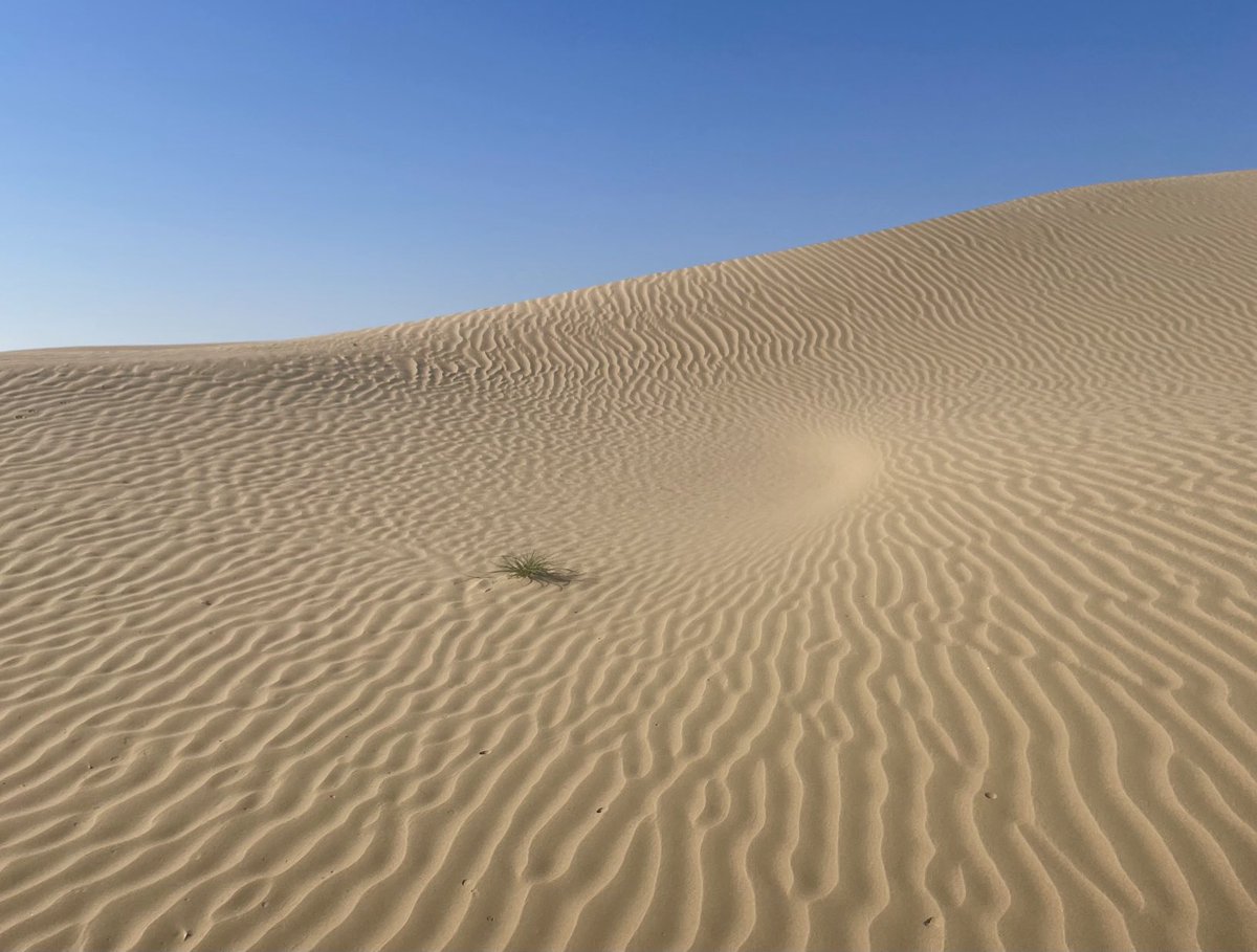 Anybody got a bucket and spade?!#desert #sand #Dubai