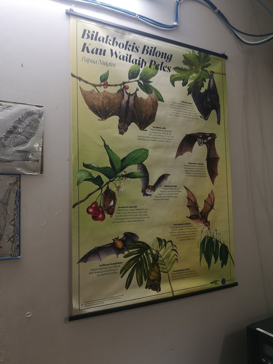 Elise Sivault tweet media