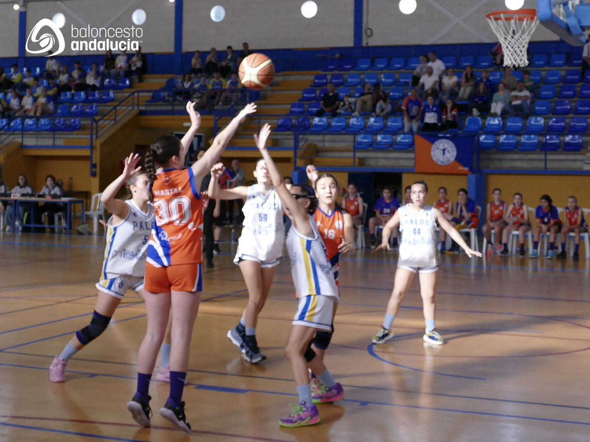 fabhuelva's tweet photo. 🏆#FFINFFEM2024⛹️‍♀️ J2

🏀 Tras un primer cuarto muy igualado, 15-18, las palmerinas toman la delantera en el marcador.

@CiudaddePalos 1️⃣8️⃣ - 3️⃣0️⃣ @CBLaPalma95 

📊 Estadísiticas en vivo con #AficiónFAB
📸 https://t.co/pggXD55zte

#baloncestoandalucia https://t.co/joXlA1Pp1F