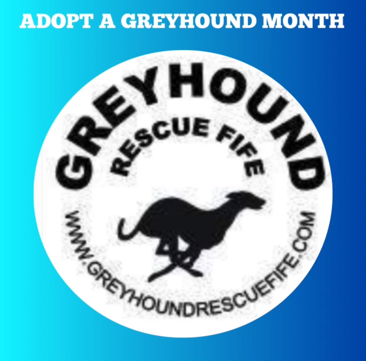 GreyhoundRFife tweet picture