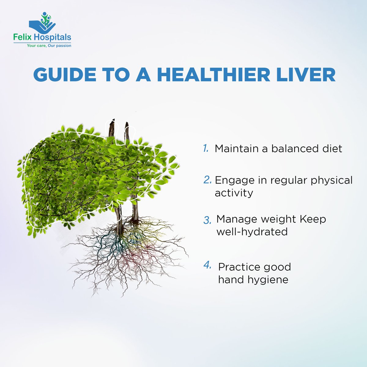 WellnessFelix's tweet image. Your liver&apos;s calling - time to show it some love! 💚 Nourish this hardworking hero with a balanced diet.

Follow this guide to keep your liver in tip-top shape.

#liver #livercancerawareness #liverproblems #liverhealth #besthospitalinnoida #hospitalnear #HealthCheckup #everyone