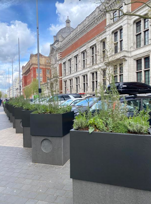 Have you seen the new planters on Exhibition Road? A new home for our South Ken pollinators! #ExhibitionRoadCulturalGroup #UrbanGreening #SouthKen #GreenSpaces #CityGardens