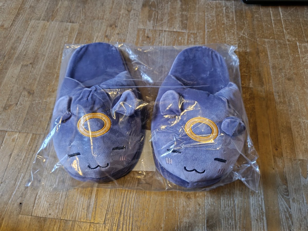 DaraenGora's tweet photo. I got Ina's merch today!! ๐๐
#3rdinapact #TAKOTIME https://t.co/wI45OfewRI