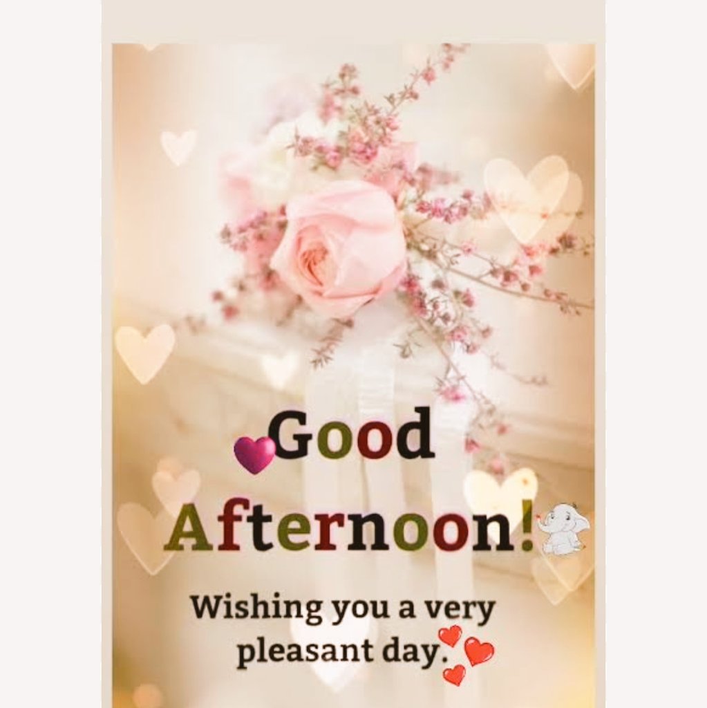 Good after noon X family ❤️

Wishing you a day filled with joy and hapiness ❤️‍🩹