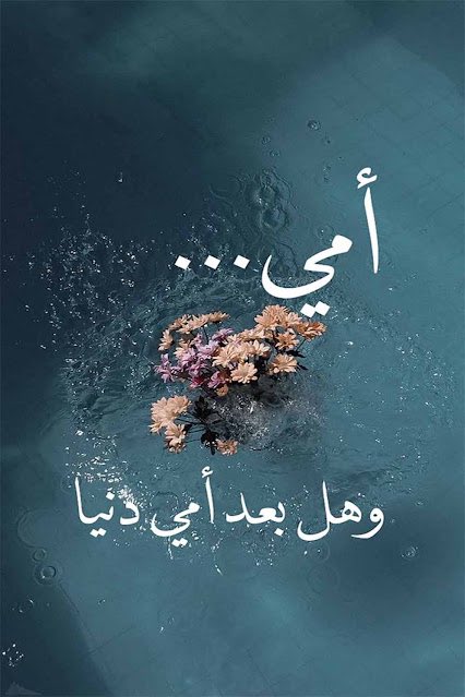 b3nd3r11's tweet photo. عِنْدَمَا  أُنْزِلَتْ  وَالِدَتِي💔لِقَبْرِهَا  أَدْرَكْت  بِأَنْ  حَيَاتِي  لَنْ تَكُونَ  عَلَى  مَا  يُرَامُ  بَعْدَهَا💔…..🥀
#فقيدتي #أمي💔 https://t.co/cLqihm2JNH