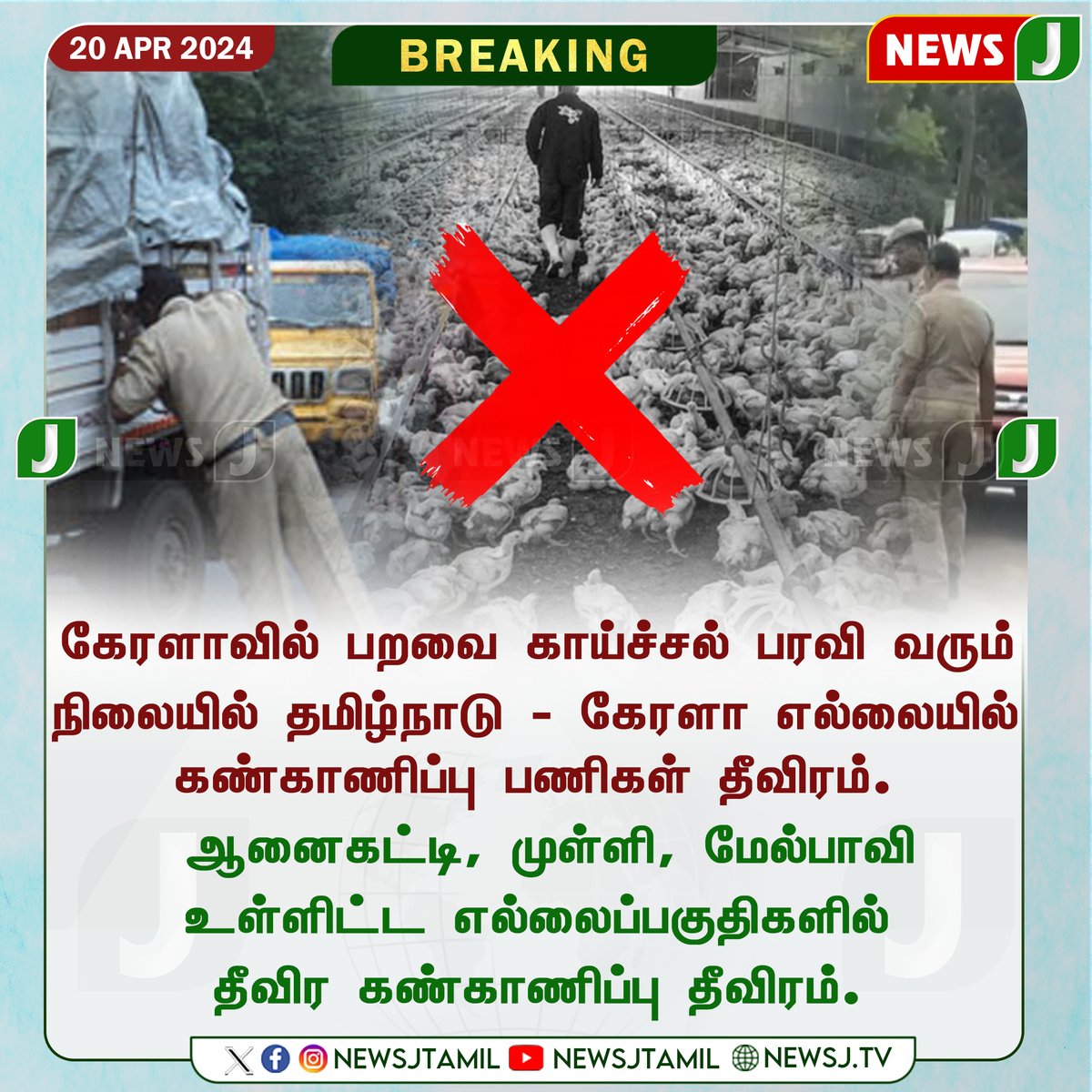 NewsJTamil's tweet photo. கேரளாவில் பறவை காய்ச்சல் பரவி வரும் நிலையில் தமிழ்நாடு - கேரளா எல்லையில் கண்காணிப்பு பணிகள் தீவிரம்.
#Birdflu #Kerala #fever #keralaborder #tamilnaduborder #chickenfever #newsj https://t.co/PC6AWmBRfc