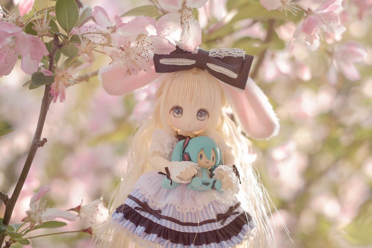 ssdollysss's tweet photo. ✨🌸🍃

#アゾンドール  #アゾン #azone  #シュガーカップス #sugarcups #candyruru  #ピコニーモP  #アゾカツ #キャンディールル  #うちのこかわいい https://t.co/cD5hVBezMC