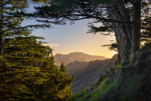 Mount Erin framed by Pine Trees by Jos Buurmans bit.ly/3JyfkQt #thingsdavidlikes bluesky, colourfulsky, evening, forest, forestphotography, forestandtreesphotography, goldenhour, hastings, havelocknorth, hawkesbay, heretaunga, justnature, landscapephotography, mounteri…