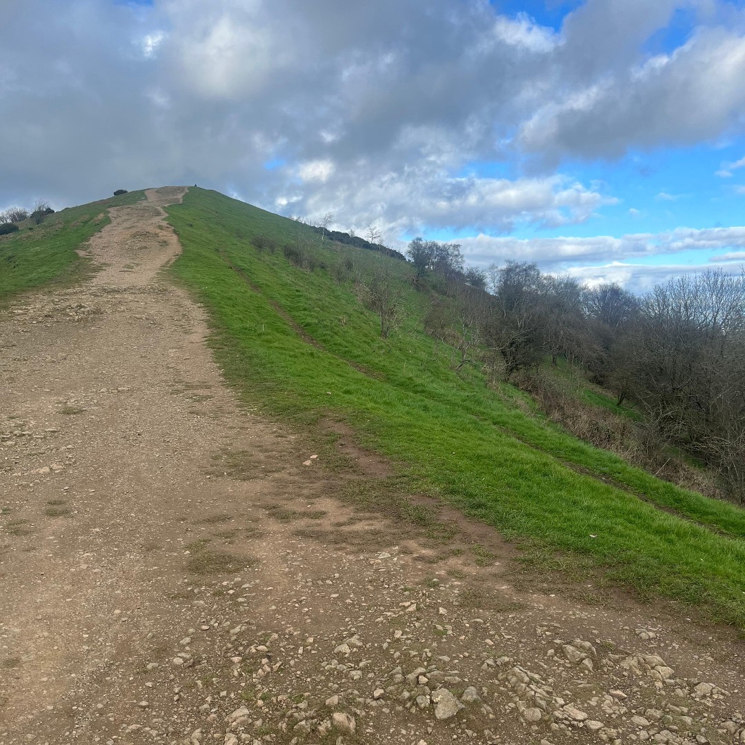 MSJ_OGA's tweet photo. Lost in the beauty of the Malvern Hills 🏞️ #MalvernMagic #NatureLovers #Wanderlust https://t.co/8gc1l5AZ5g