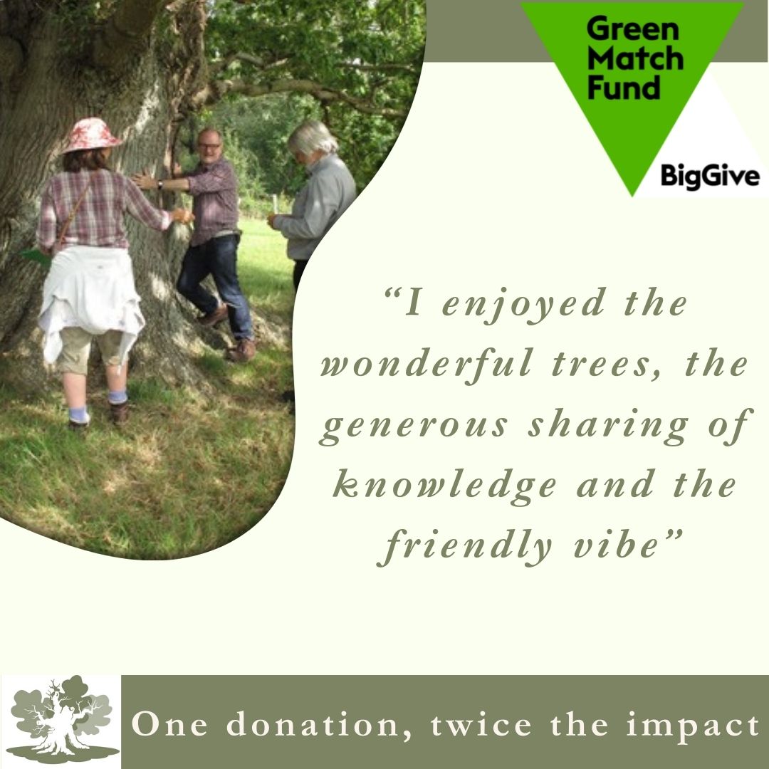 Big Give’s Green Match Fund Recognising the important role the Local Groups perform, we are working to expand the network of groups across the West Midlands and the North East. Please help us by making a donation today: tinyurl.com/544tjxbv @biggive #GreenMatchFund