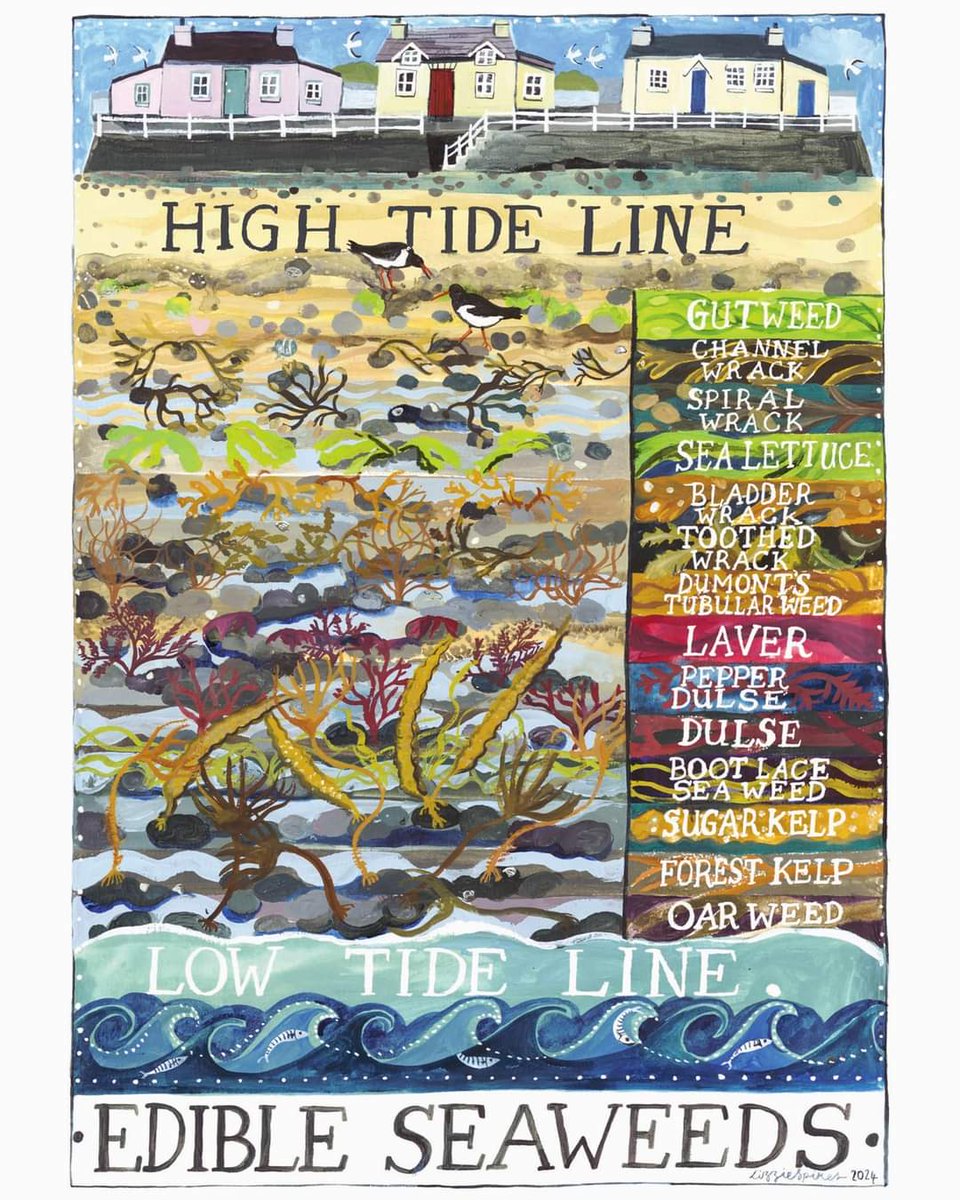 Lizzie Spikes tweet media