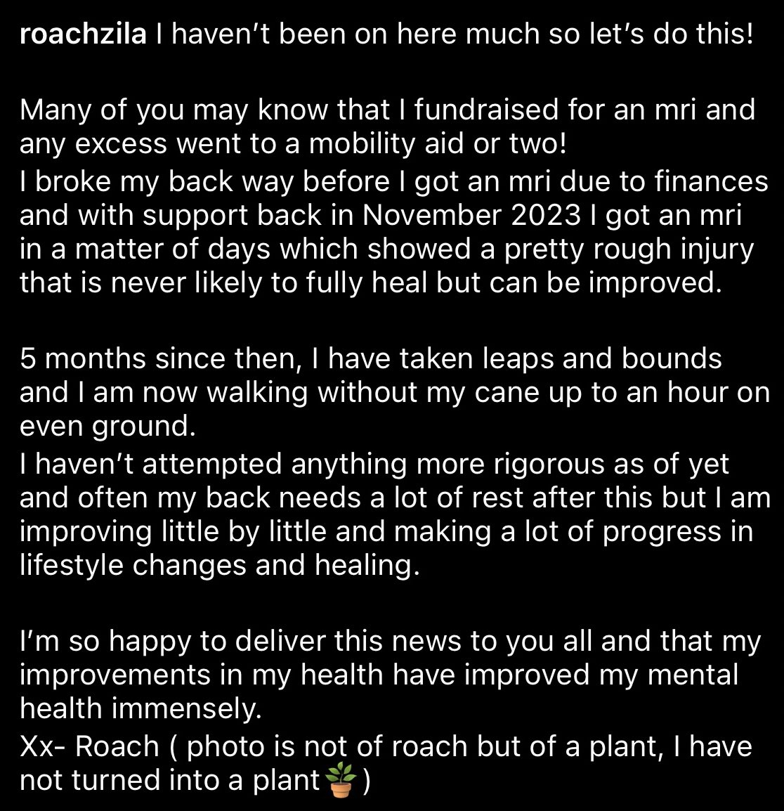 where is Roachzila? tweet media