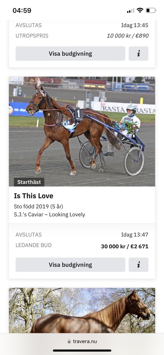I kväll kan ni vara med att köpa en riktigt fin starthäst som blir en fin fölmärr efter karriären på travera.nu i kväll ca kl 19         IN OCH LÄGG BUD