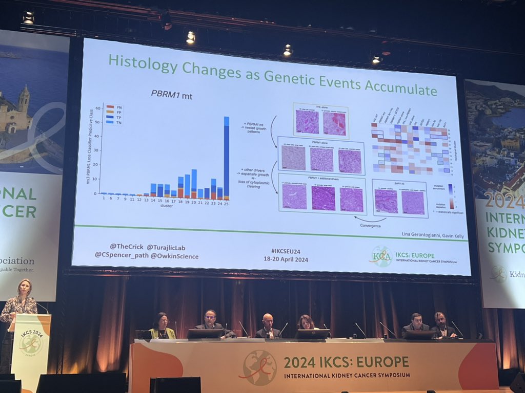 Day 3 #ikcseu24 starting with molecular mechanism of RCC w @TurajlicLab immunotherapy resistance @BraunMDPhD & translating computational pathology>treatment @CSpencer_path