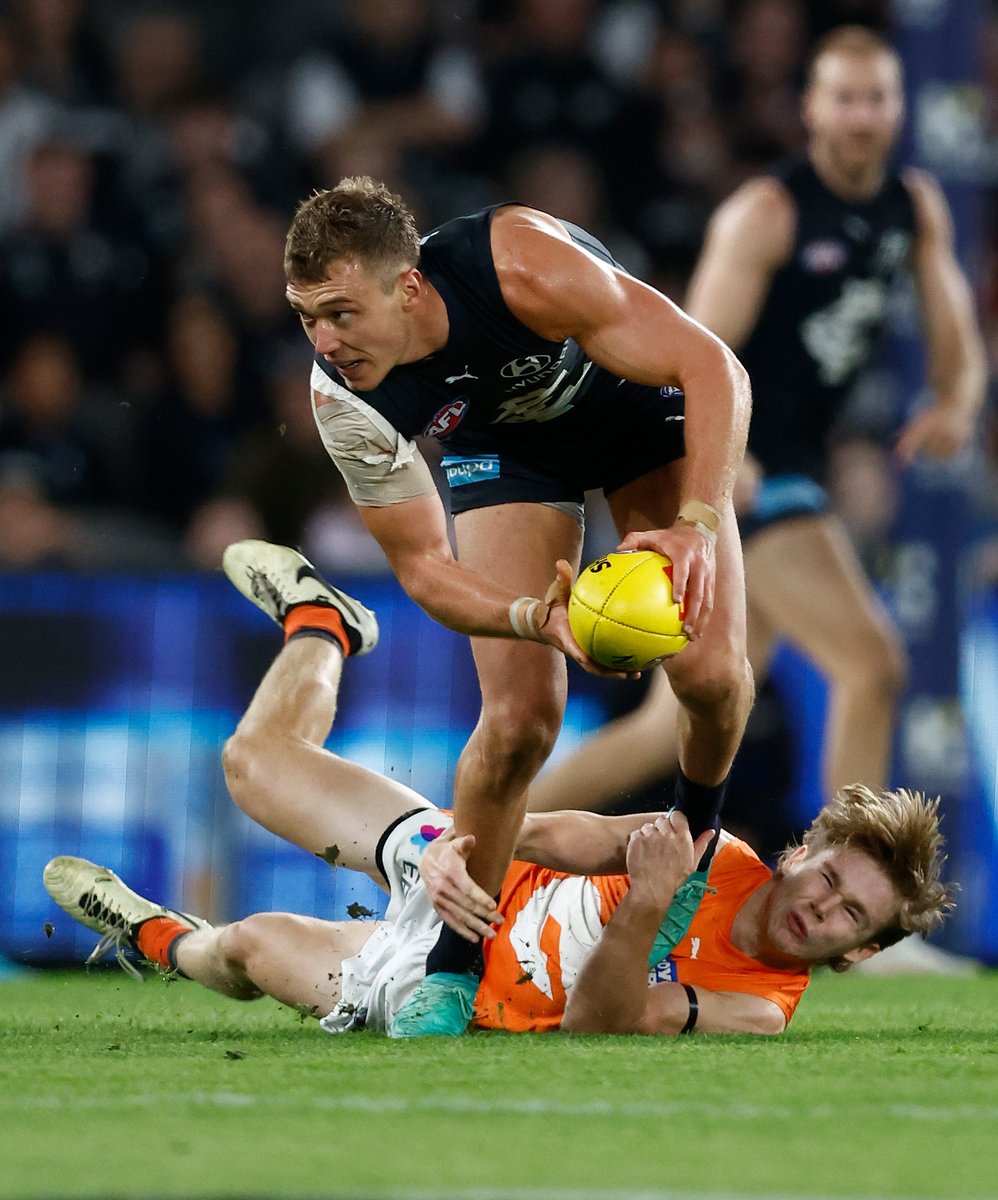 Carlton FC tweet media