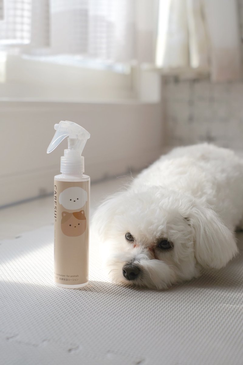 mp_silvousplait's tweet photo. 涙やけケアとして、CARESUI(ケアスイ)使ってみました！
ペット用皮膚保湿剤なので直接涙やけに効くわけではないですが、目周りが保湿されたことで前より涙が出にくくなった気がする✨
無臭だし、お手入れ苦手なしーちゃんも嫌がらず拭かせてくれて良かった☺️
#PR #CARESUI #ケアスイ #ペット用化粧水 https://t.co/fsM83Rzj0S