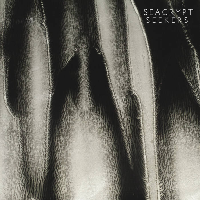 mazenindark's tweet photo. Seacrypt - Hide And Seek https://t.co/fMOoclAOpu via @YouTube
Seekers
by Seacrypt (#Seacrypt)
https://t.co/pRwJKu37De
#darkwave #electro #minimal #synth #synthpop https://t.co/8HHAoNgZbp