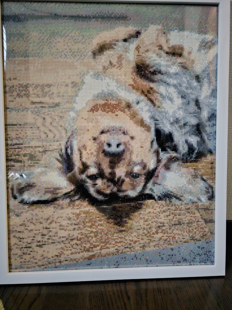 sumikoyukimura's tweet photo. 我が家の犬完成☺️ https://t.co/QCUuu4MCj0