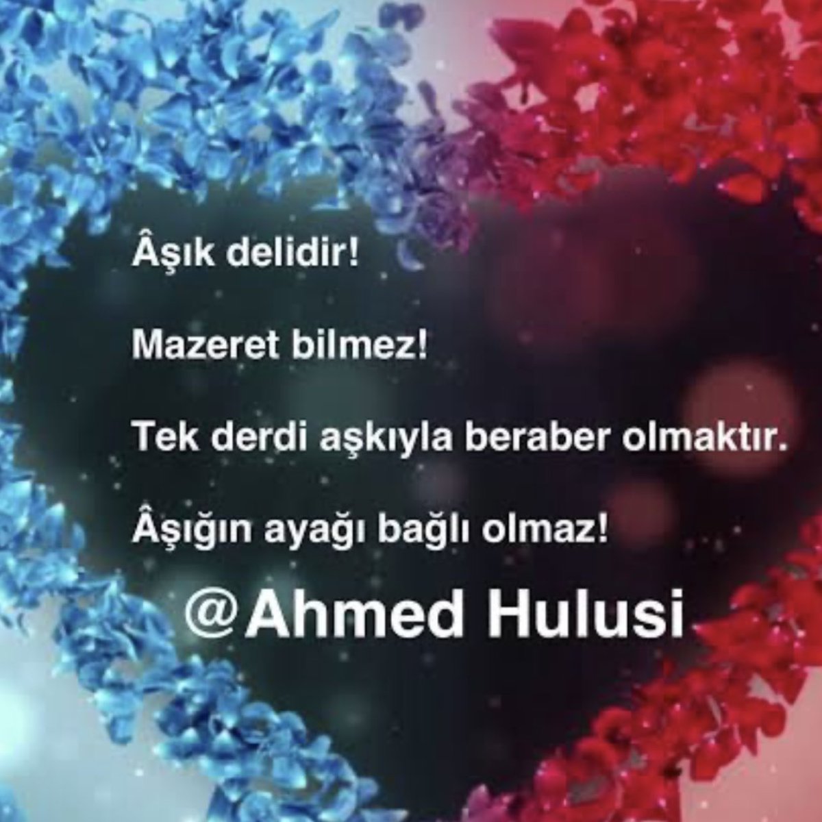 İlimle ALLA HI bulursun 🌹.                       AŞK ile erir kül olursun🌹.                       AHMED HULUSİ ❤️🌹💜