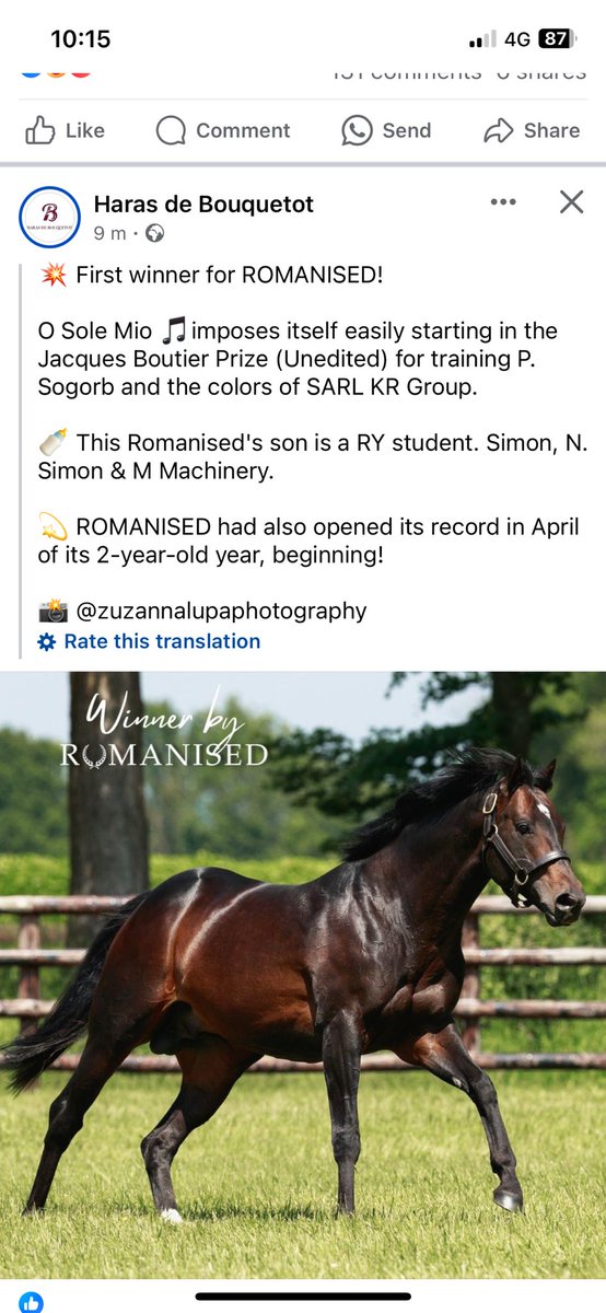 Prospect Stables (@prospectstables) on Twitter photo 