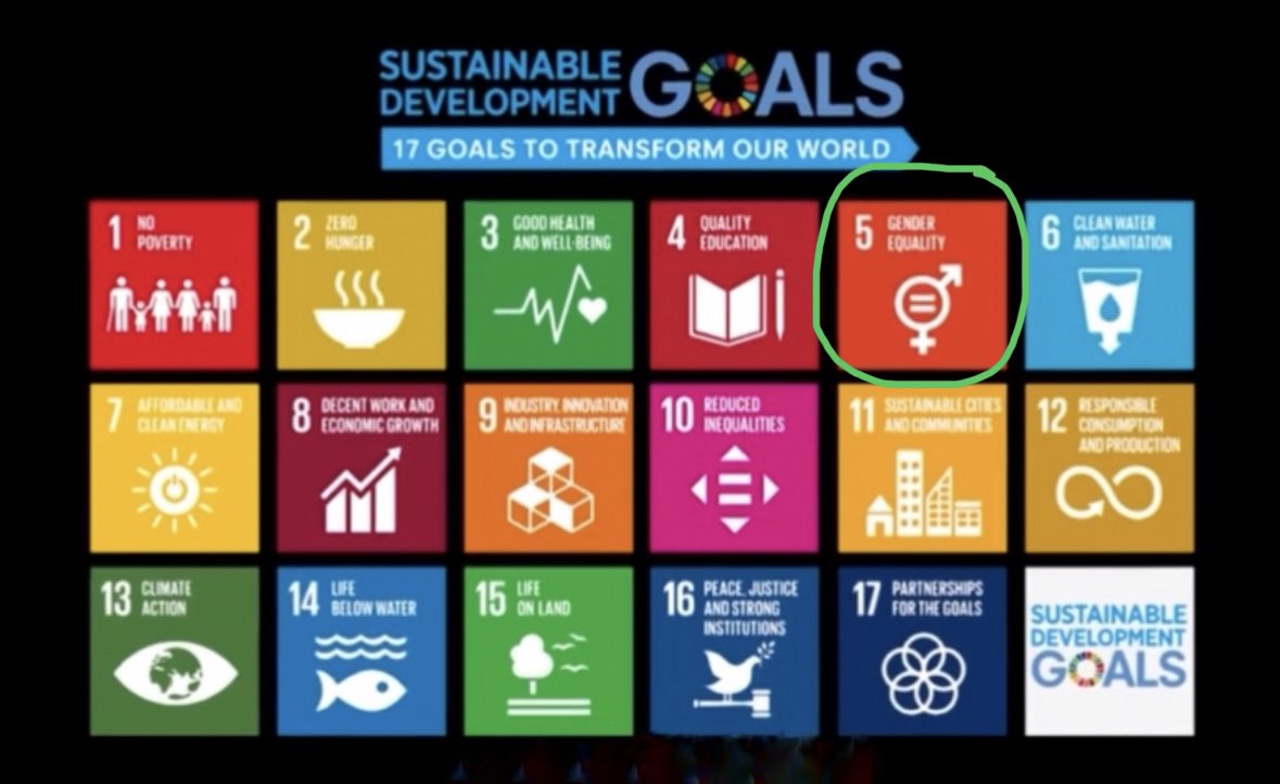 The WEF & the WHO are both part of the UN, and what’s happening all around the world is all part of their Agenda 2030 goal, which is a part of their Agenda 21 plan— all to create their New World Order. ⚠️⚠️⚠️THIS IS #5 ON THEIR AGENDA.